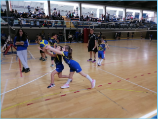 Volley.S3.Saronno.30.04.2023 (22).jpg